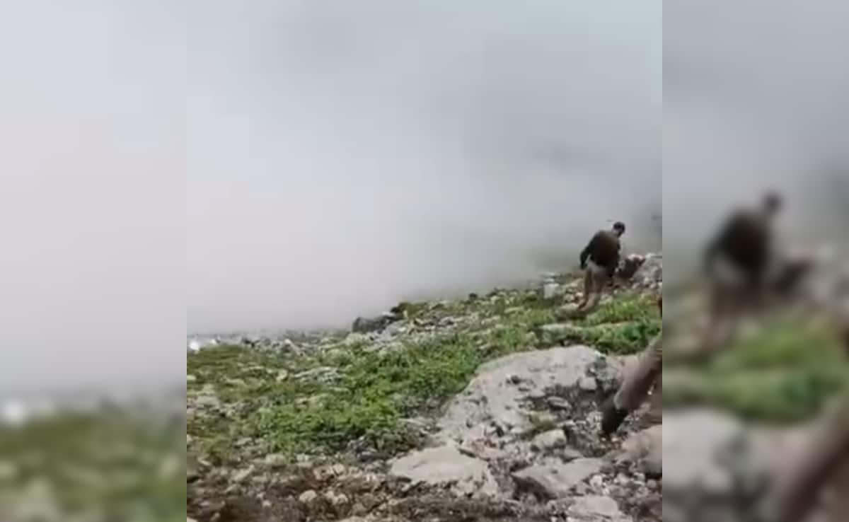 4 Killed, 1 injured As Alto Car Falls Into Gorge In Manali: Police