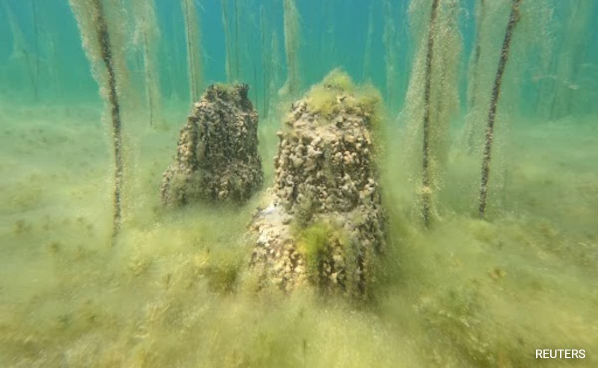 Europe’s Oldest Lake Settlement From 8,000 Years Ago Found In Albania