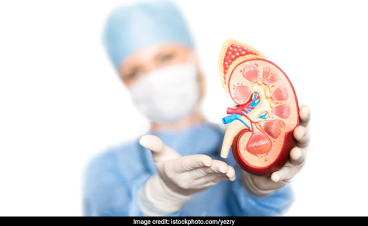 2 Tamil Nadu Hospitals Lose Transplant Licences Over Alleged Kidney Racket