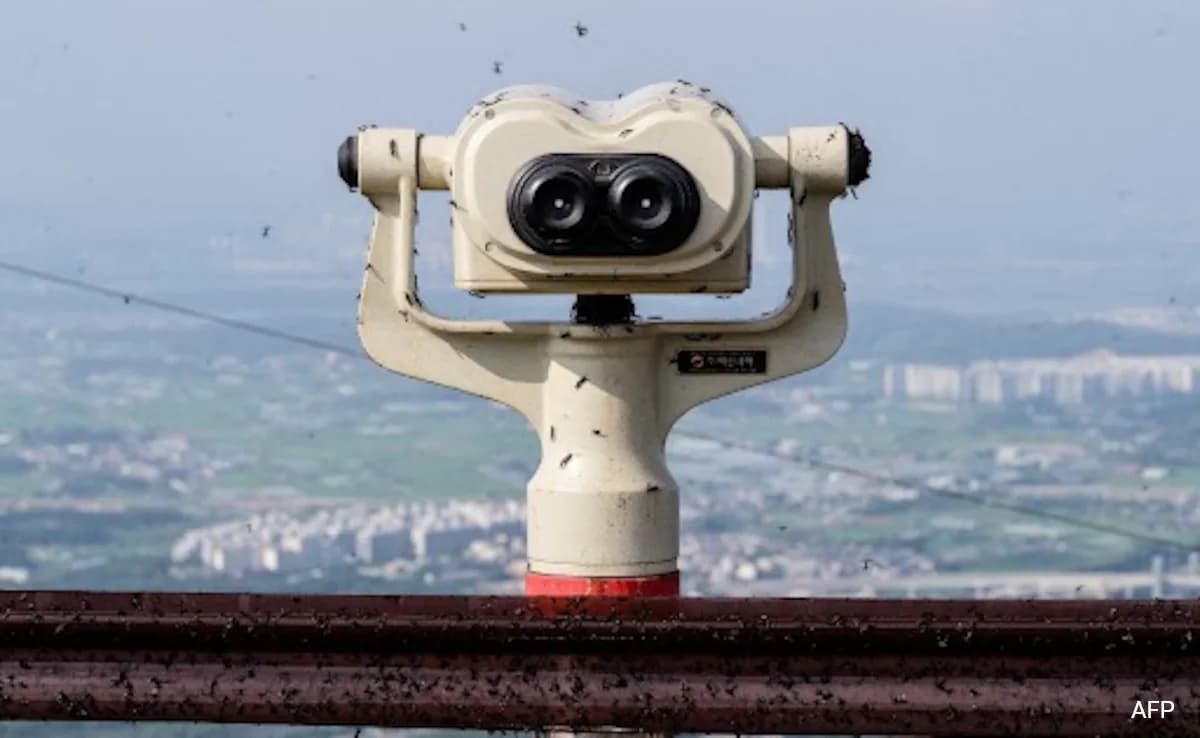 How South Korea Is Dealing With Viral “Lovebug” Invasion