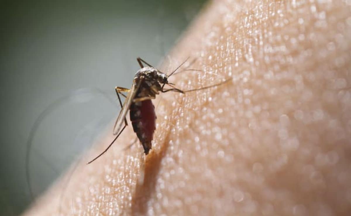 To Beat Mosquito Menace, Andhra Pradesh’s AI-Powered Surveillance System