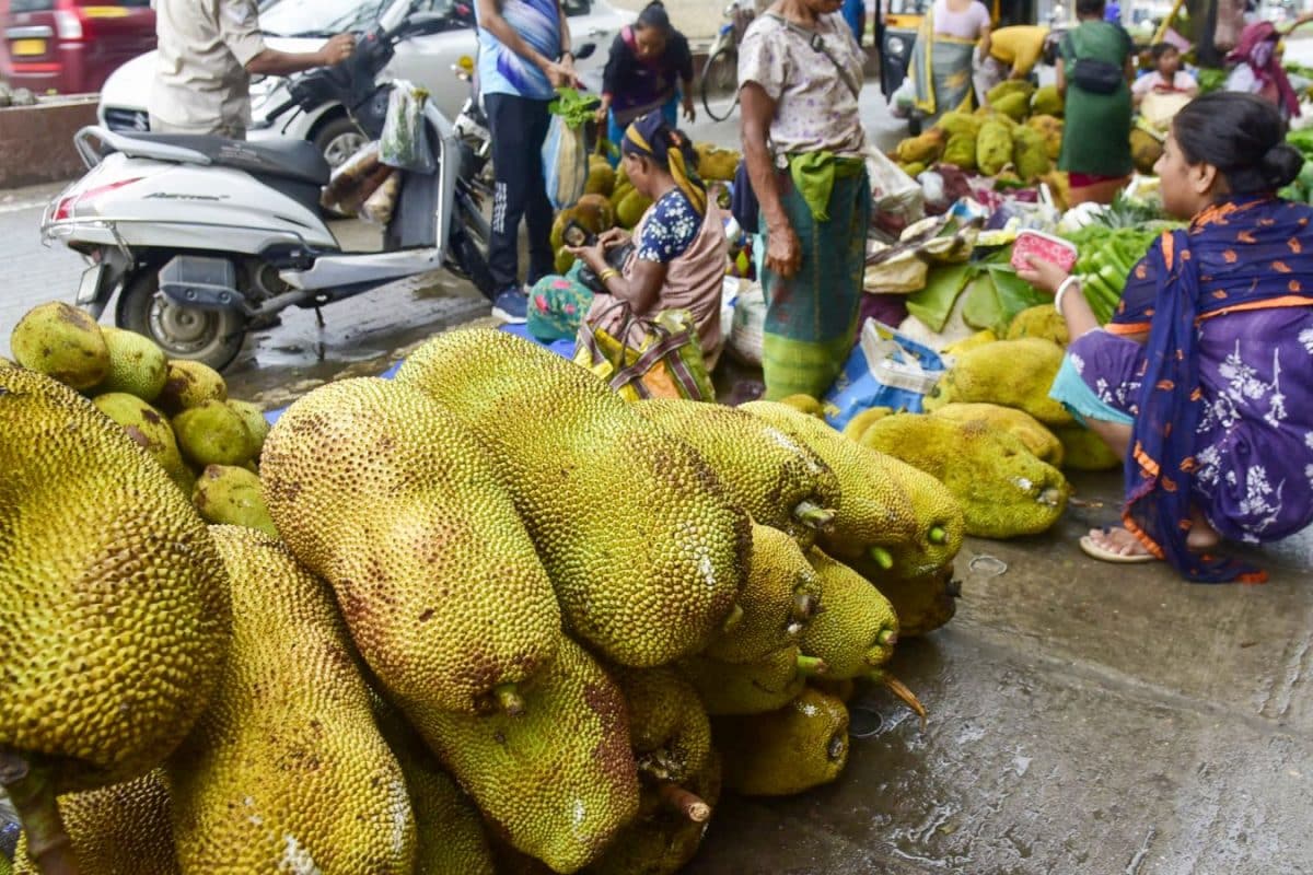 ‘Tipsy’ KSRTC Driver Fails Breathalyzer Test, Blames Hearty Jackfruit Meal For ‘Buzz’