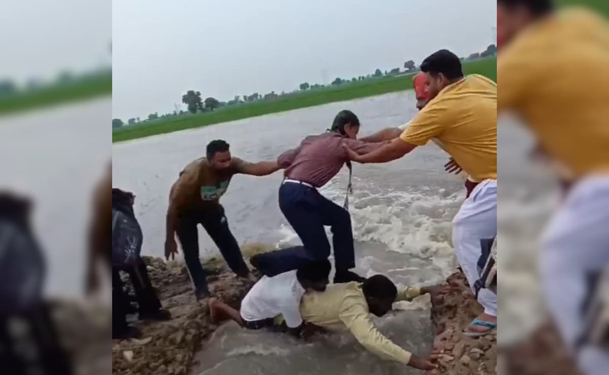 Video: A Human Bridge For Schoolchildren To Cross Flooded Field In Punjab