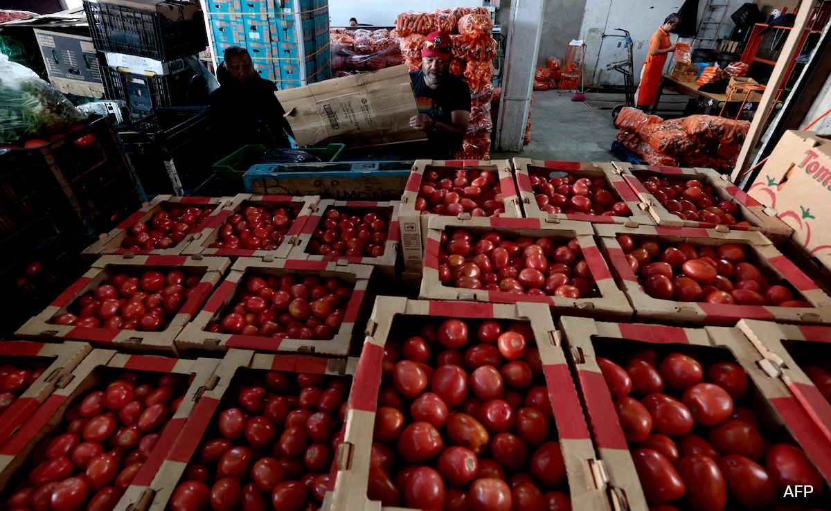 US Imposes 17% Duty On Mexican Fresh Tomatoes