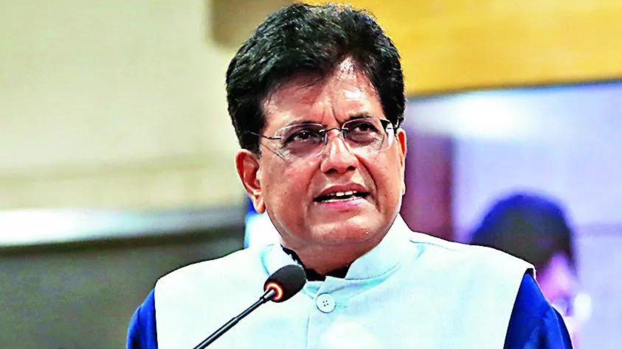 National interest, not deadline, to dictate US trade deal: Piyush Goyal