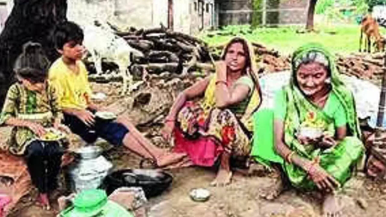 ‘They asked me to raze house’: PMAY glitch forces 80 y/o widow to live under tree