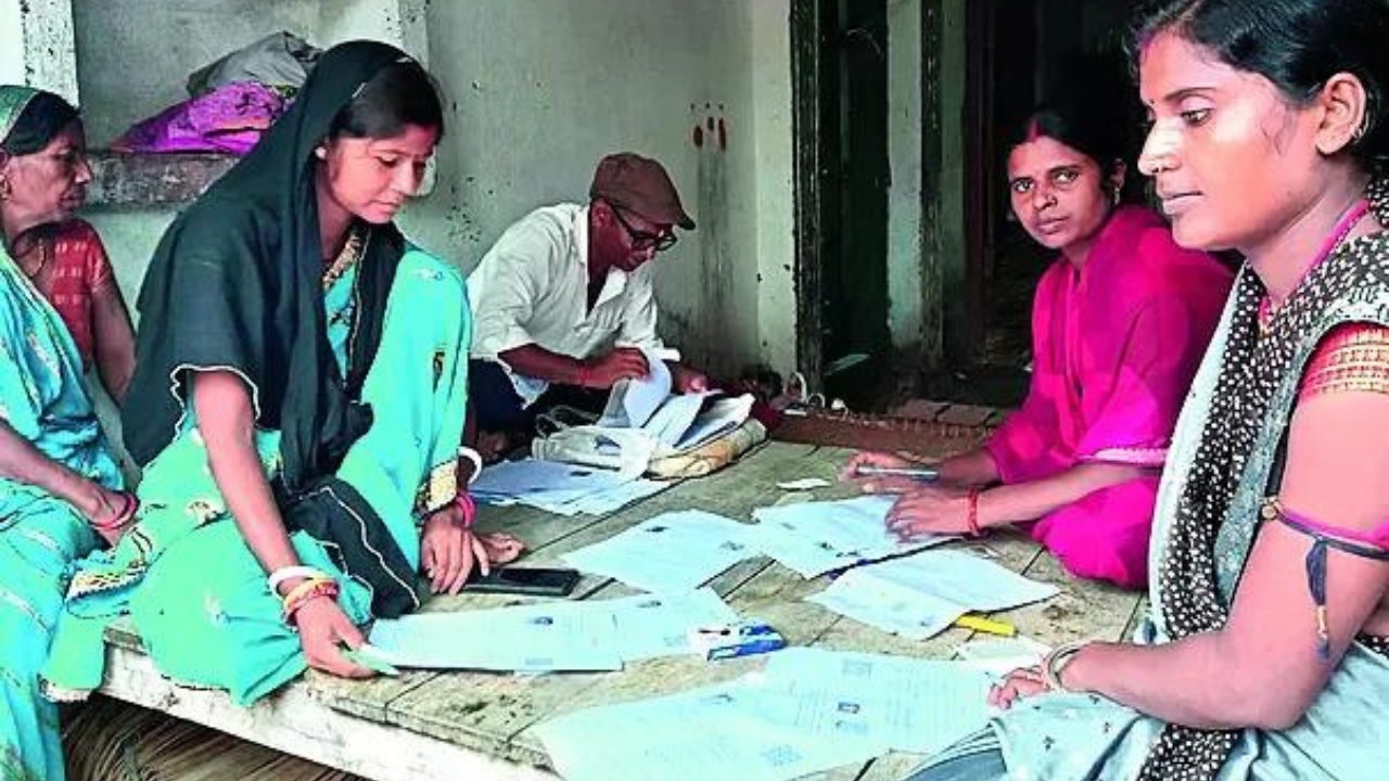 Bihar poll survey finding illegal immigrants, say Election Commission sources