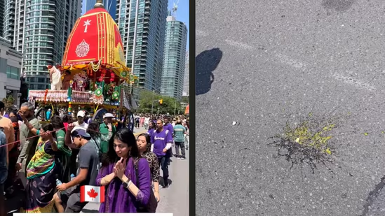 Rath Yatra disrupted in Canada: India demands action; MEA calls attack on festival ‘regrettable’