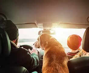 With juvenile on board, pay 2x fine for breaking traffic rules