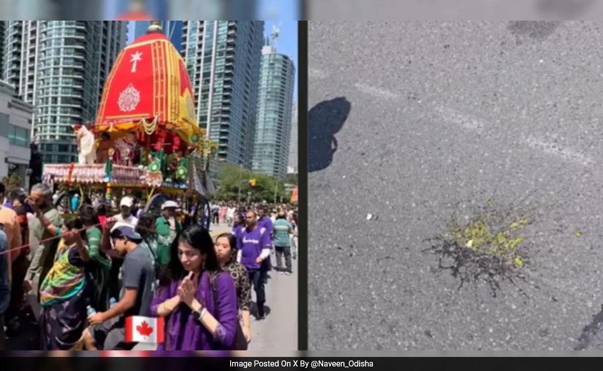 “Such Despicable Acts…”: India On Disruption Of Rath Yatra In Toronto