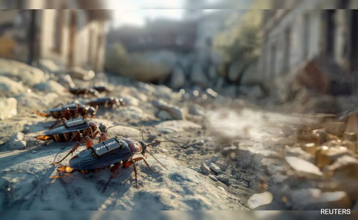 From Spy Cockroaches To AI Robots: Germany Start-Up Plots Future Of Warfare