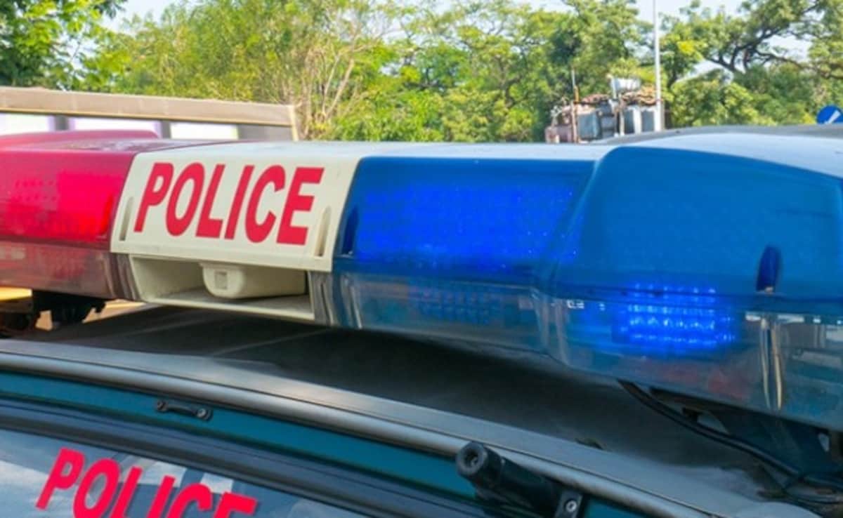 10-Year-Old Girl Missing For 2 Days Found Hanging From Tree In Bihar