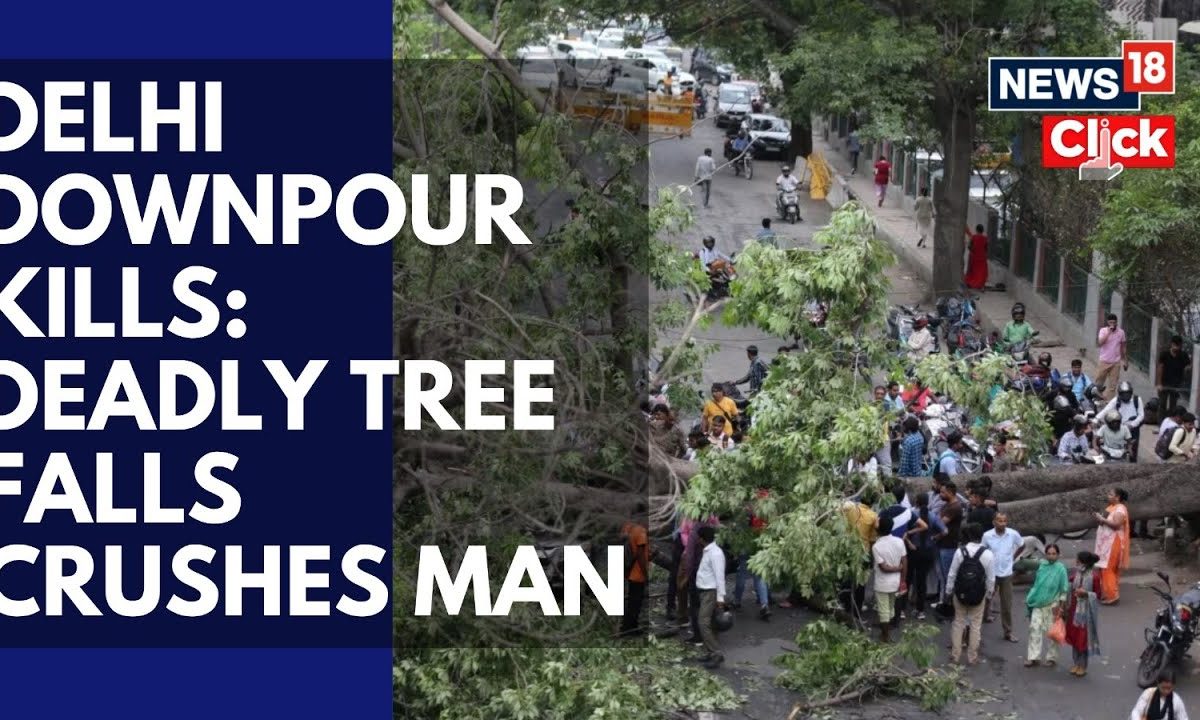 Delhi Rain Turns Fatal: Man Killed As Tree Topples Amid Delhi Downpour | Kalkaji Accident | News18