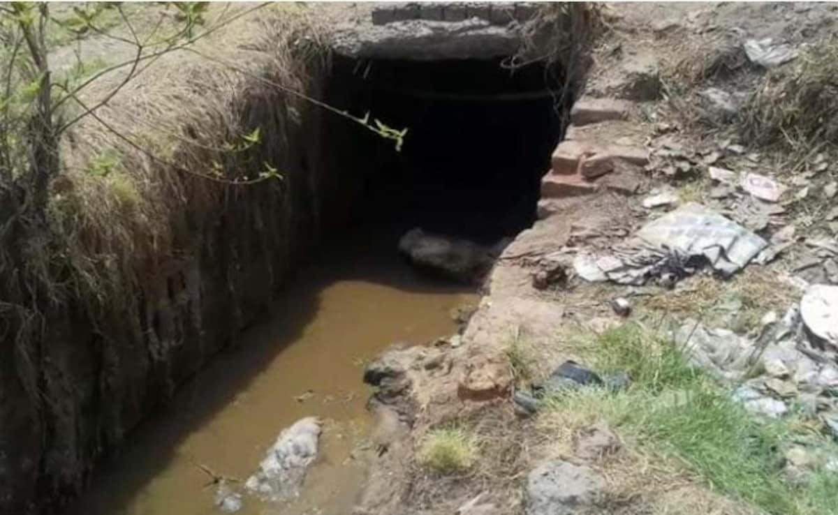 Boy Falls Into Drain While Chasing Kite In Delhi