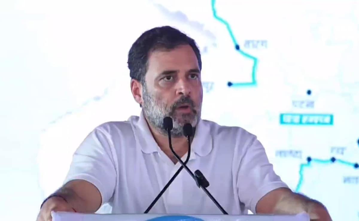 Set Up Team To Probe Rahul Gandhi’s Vote Theft Claims: Petition In Top Court