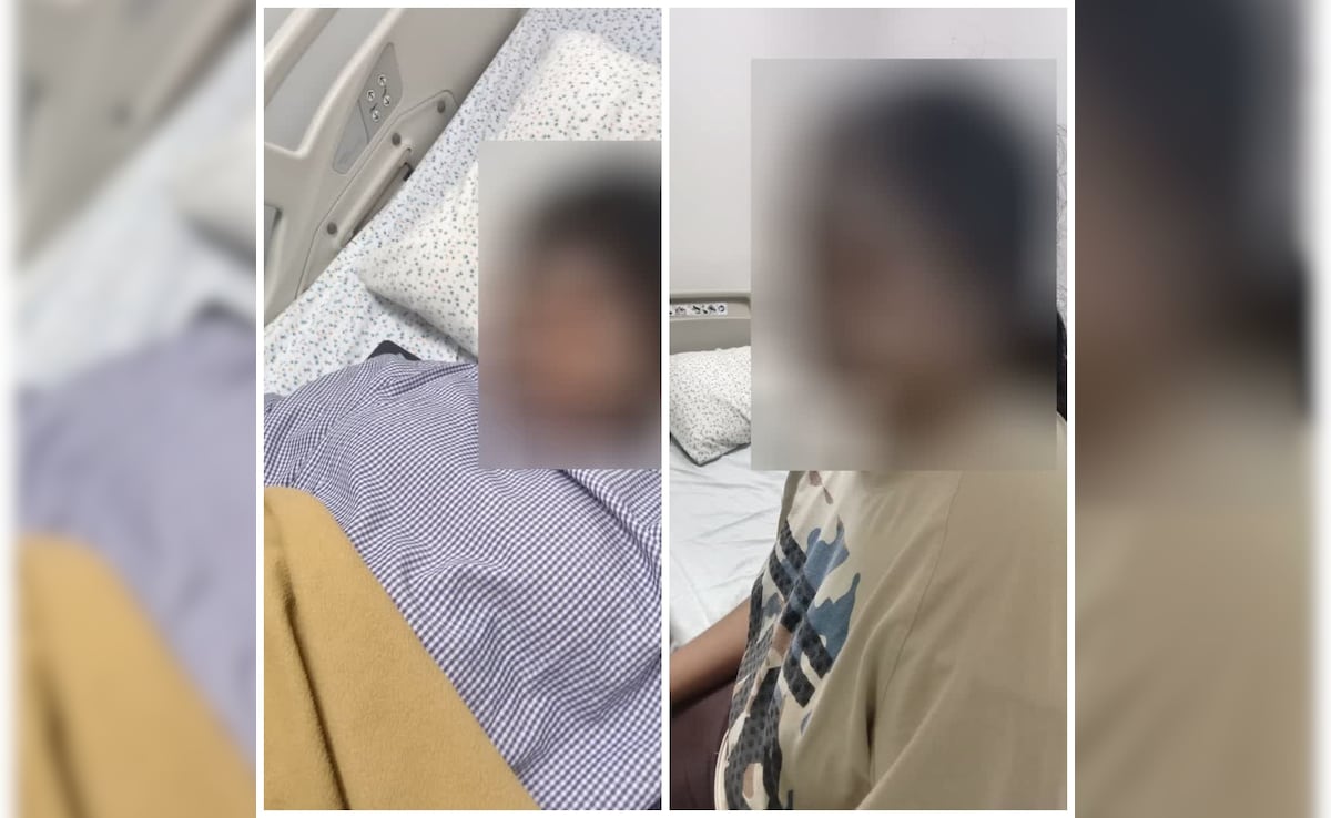 Stray Dogs Bite 2 College Students In Bengaluru