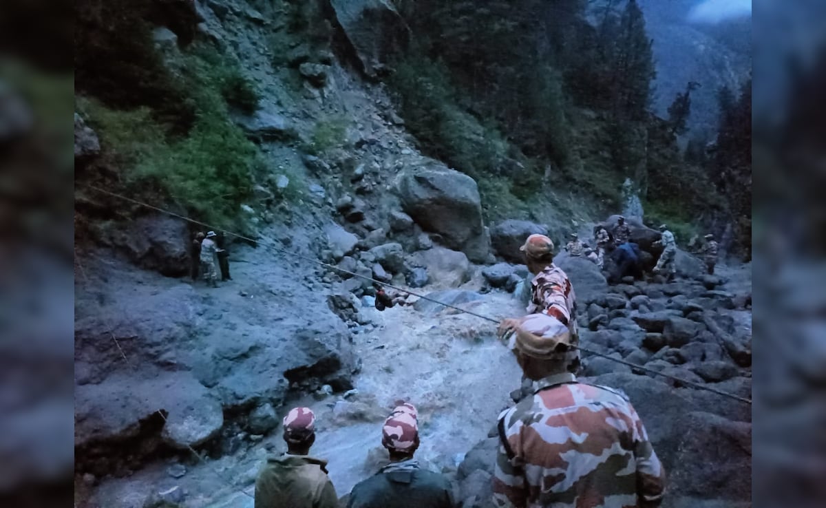 556 People Rescued In Uttarkashi, Army Builds Bridge Over River To Hasten Evacuation