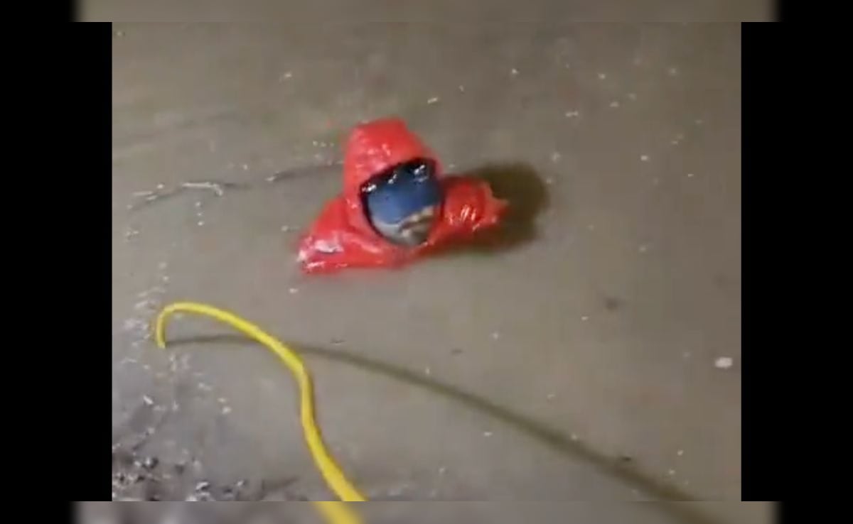 Delivery Rider Falls Into Open Drain, Loses Phone; Union Asks Zomato To Help