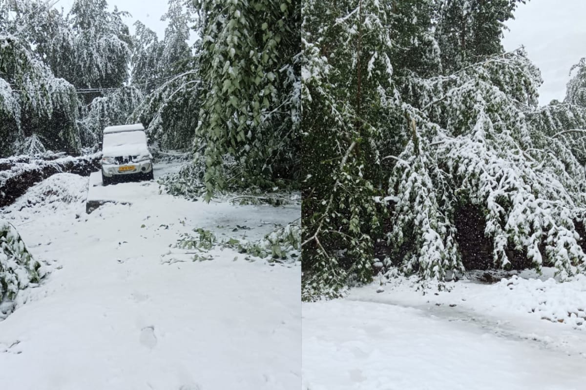 Swathed In White: Ladakh Sees Rare August Snowfall, Khardung La Shut Amid Travel Advisory