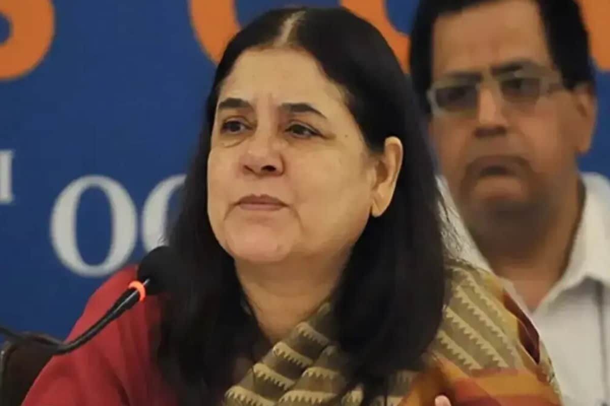 ‘When It Happened In Paris…’: Maneka Gandhi’s History Lesson After SC Order On Stray Dogs