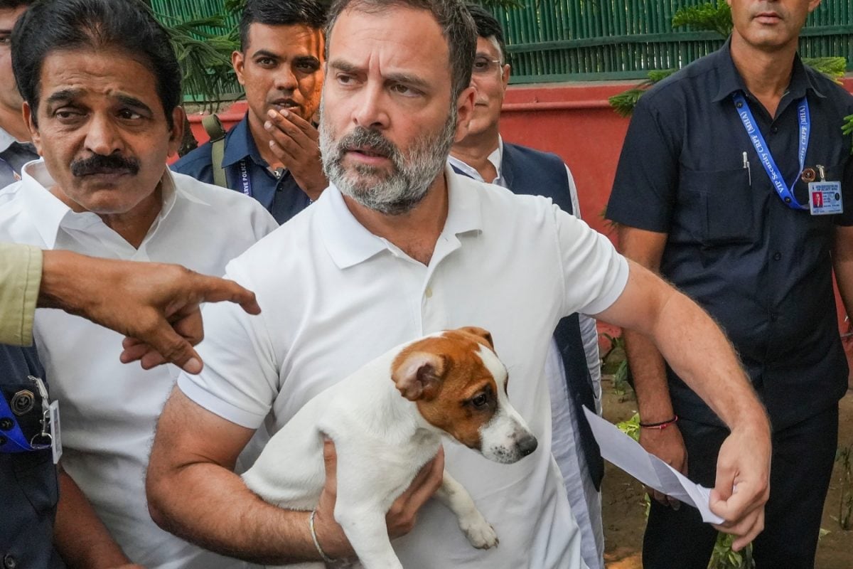 ‘Voiceless Souls’: Rahul Gandhi Says SC’s Stray Dog Order ‘Not Scientific, Shortsighted’