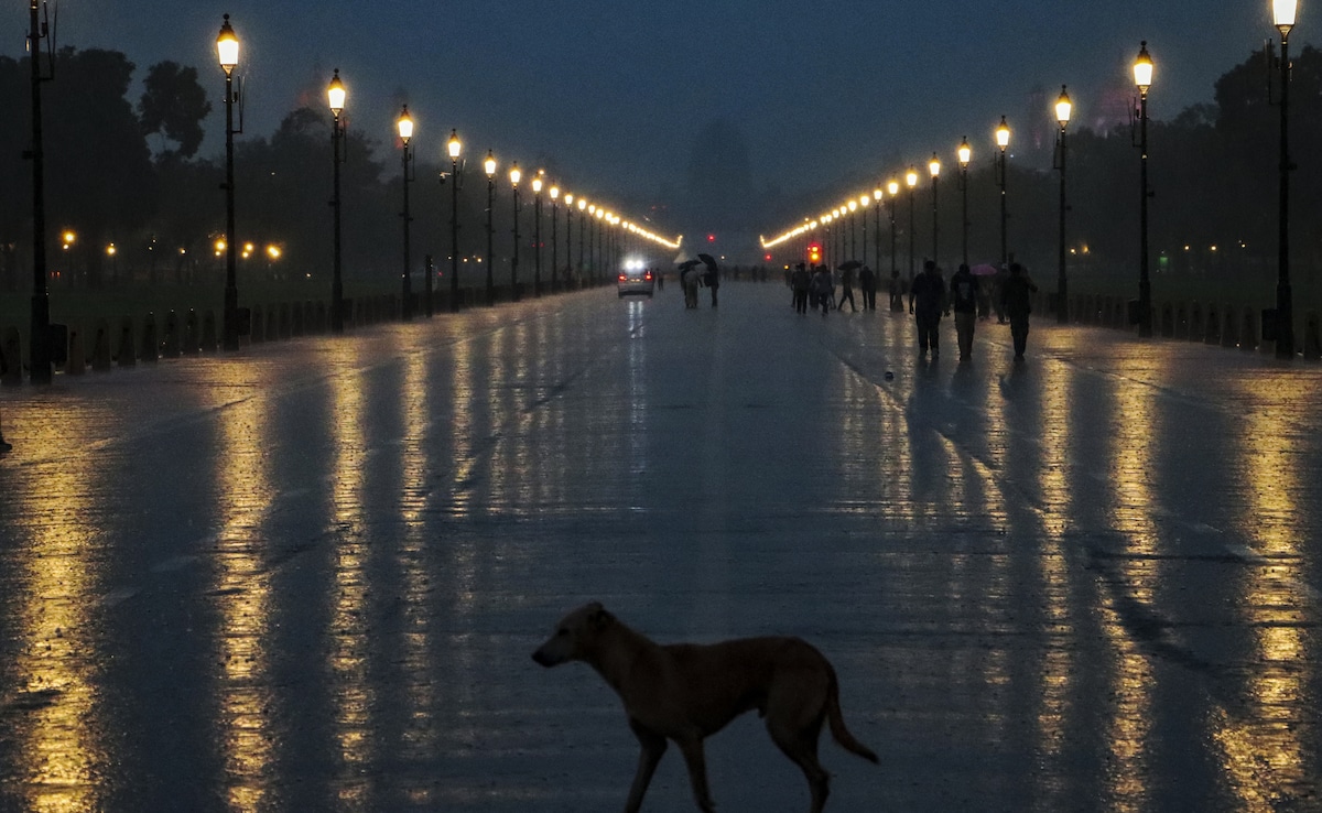 Delhi Records Its Wettest Month Of The Year In August