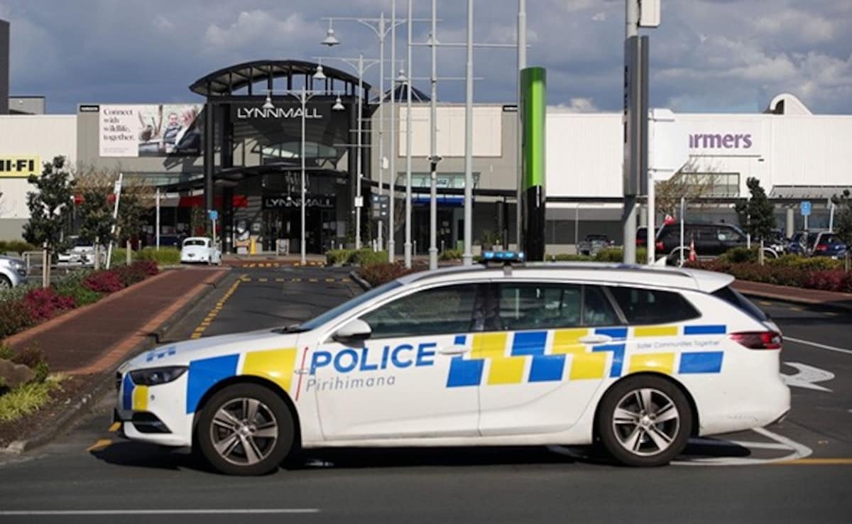 New Zealand Woman Arrested After Travelling With Child In A Suitcase