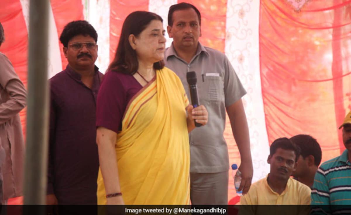 “Impractical, Financially Unviable”: Maneka Gandhi On Top Court’s Stray Dogs Order