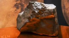 Mars rock found in Niger sells for millions in New York – now the country wants answers