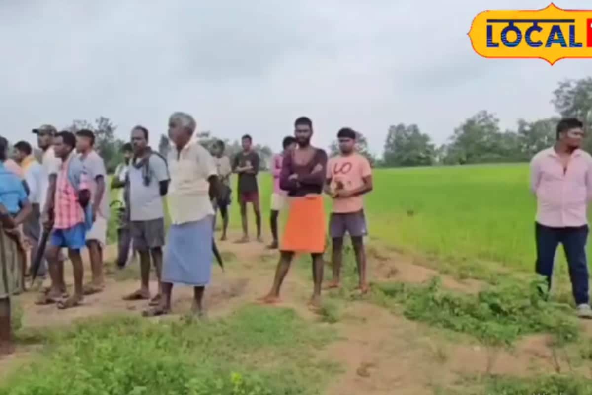 Elephant Crushes Chhattisgarh Man To Death, 6 ‘Wives’ Turn Up To Claim Compensation