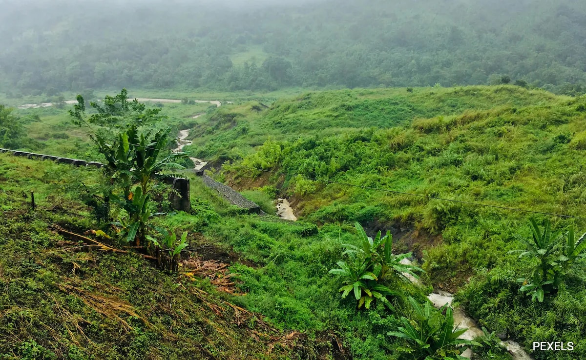 Assam Targets Illegal Forest Encroachments, 10-Year Timeline To Clear All Settlers
