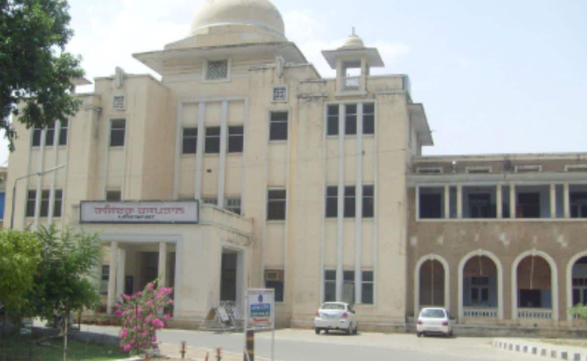 Dog Seen Carrying Baby’s Head At Hospital In Punjab, Probe Ordered