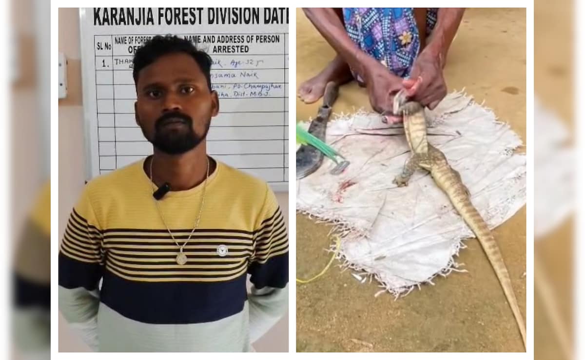 Odisha Man Cooks Rare Lizard, Posts Online, Forest Officials Take Action