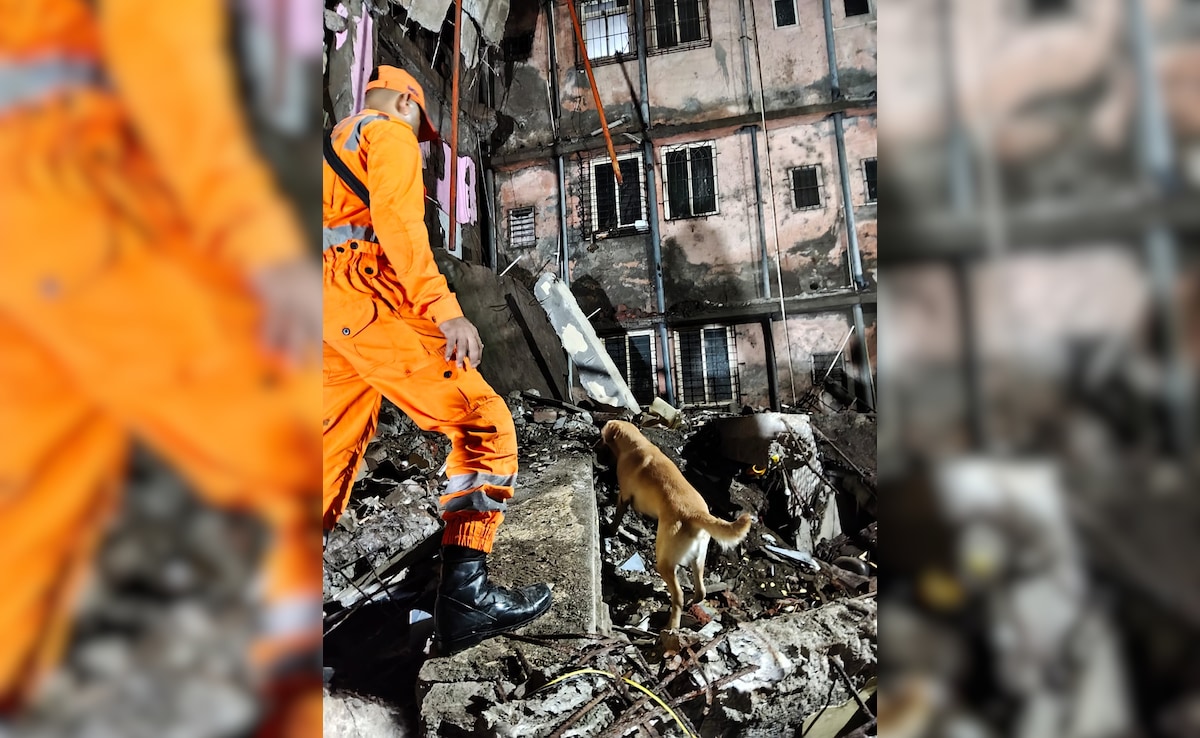 Toddler Among 2 Killed In Building Collapse In Maharashtra’s Palghar