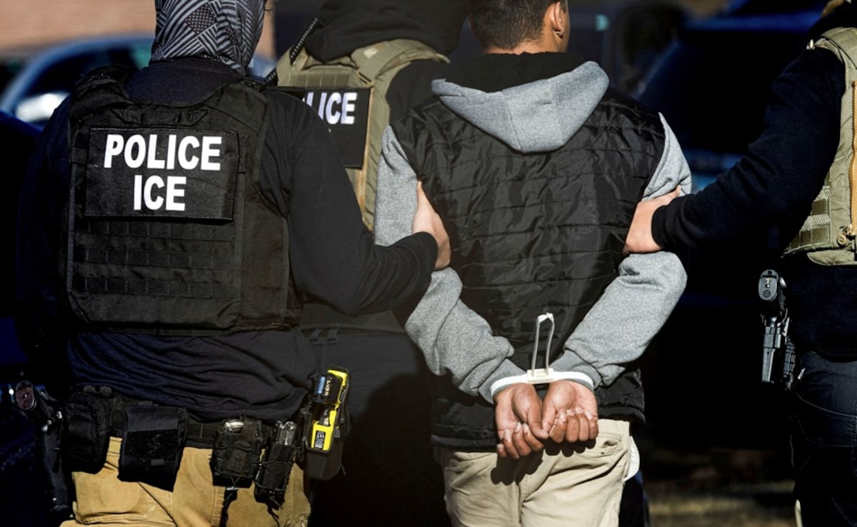 Man Runs From Immigration Officers In US, Dies After Getting Hit By Car