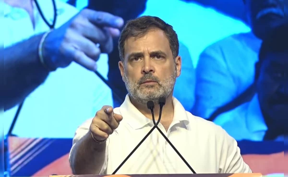 “Perpetual Youth”: BJP Rips Into Rahul Gandhi Over Voter List Allegations