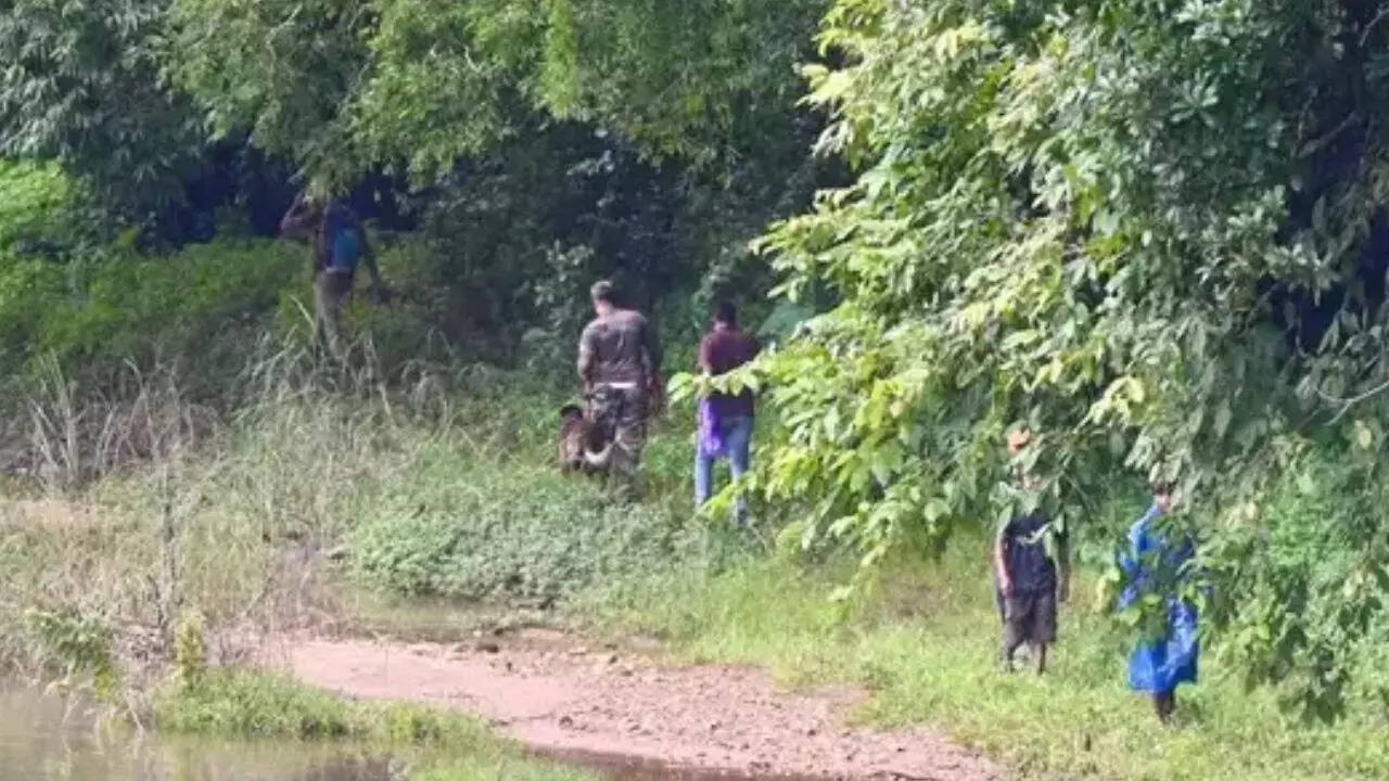 ‘Coerced to bury 100 bodies’: SIT finds 15 bones in Dharmasthala forest pit