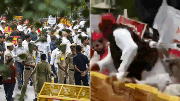 Oppn MPs’ march to EC: Akhilesh jumps barricade; Rahul detained – Key points