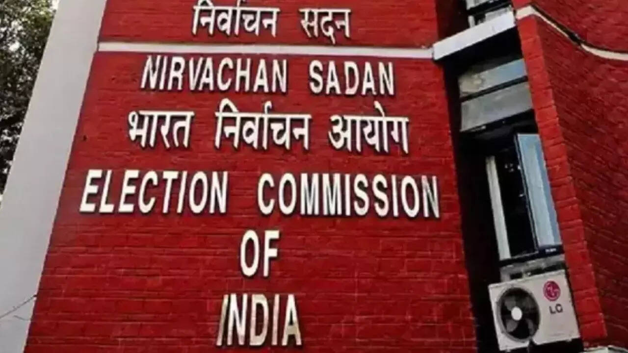 ‘Parties should have flagged roll errors before polls’: EC on ‘vote theft’ row