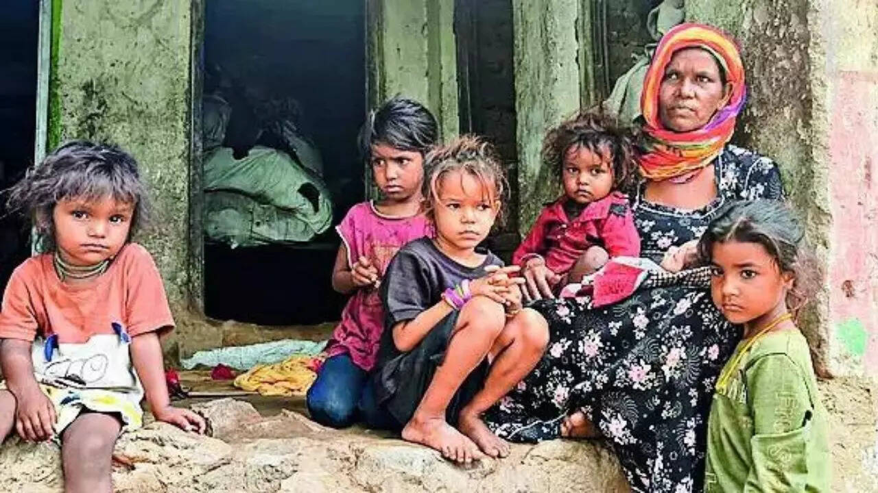 Udaipur woman delivers 17th child; health dept orders probe