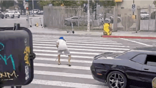 Watch: LA Police shot dead Sikh man performing gatka on road