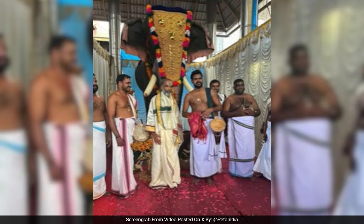 Video: Jackie Shroff, PETA India Donate Mechanical Elephant To Kerala Temple