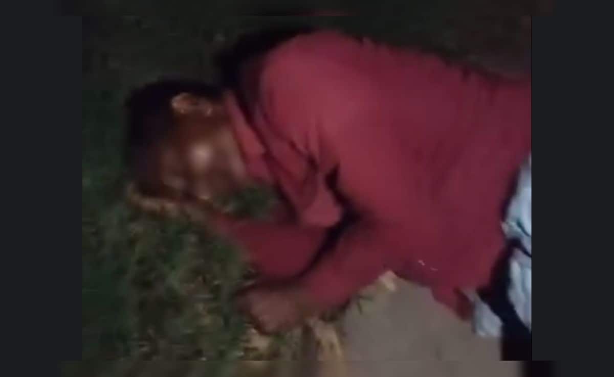 Drunk School Teacher Found Lying On Road In Madhya Pradesh, Video Goes Viral