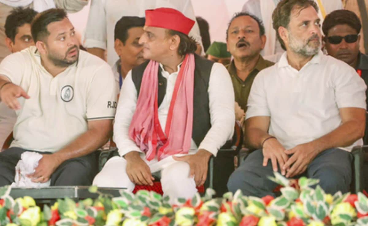 Rahul Gandhi On Dais, Tejashwi Yadav Hints He’s Bihar Chief Minister Face