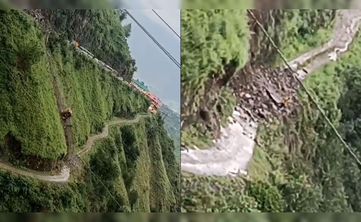 Bulldozer Falls 300 Metres Into Gorge In Rain-Battered Shimla, Driver Dead