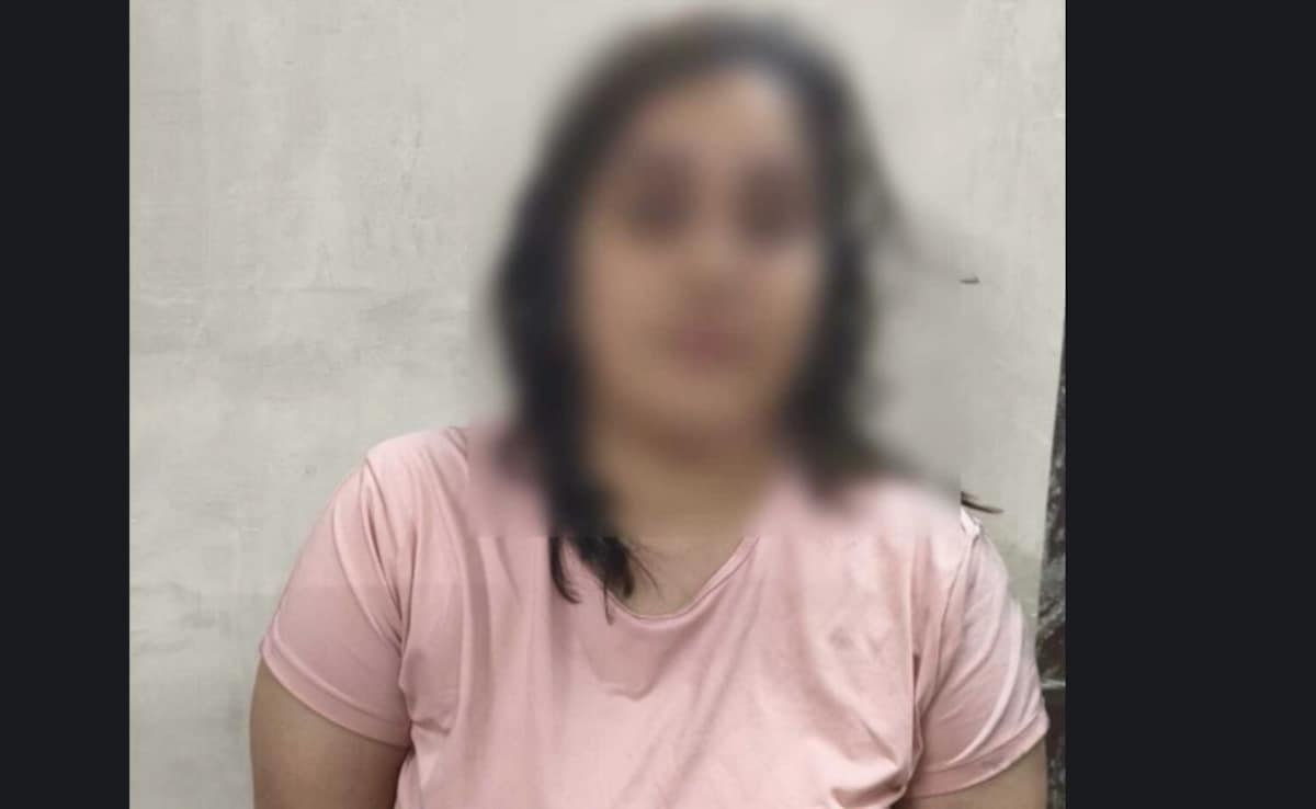 Gurugram Woman Stabs, Kills Live-In Partner As Days-Long Dispute Escalates