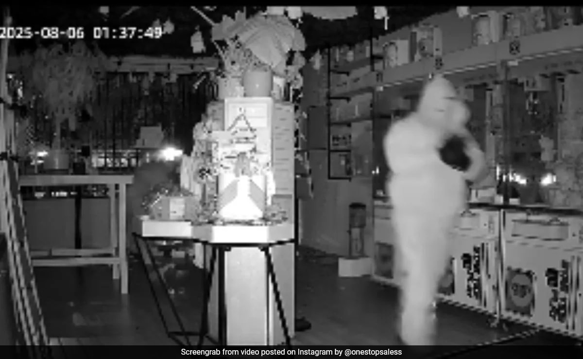 “Still In Shock”: Labubu Dolls Worth ,000 Stolen From Los Angeles Store