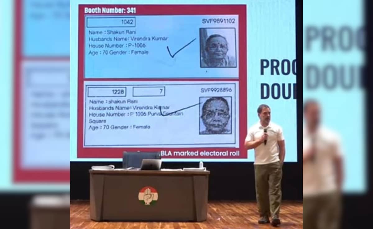 Poll Body Fact-Checks Yet Another Voter Fraud Claim By Rahul Gandhi