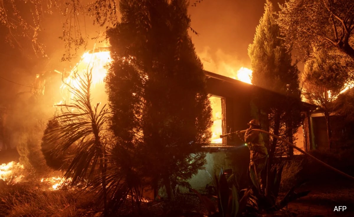 Europe Wildfire Emissions At 23-year High: Monitor
