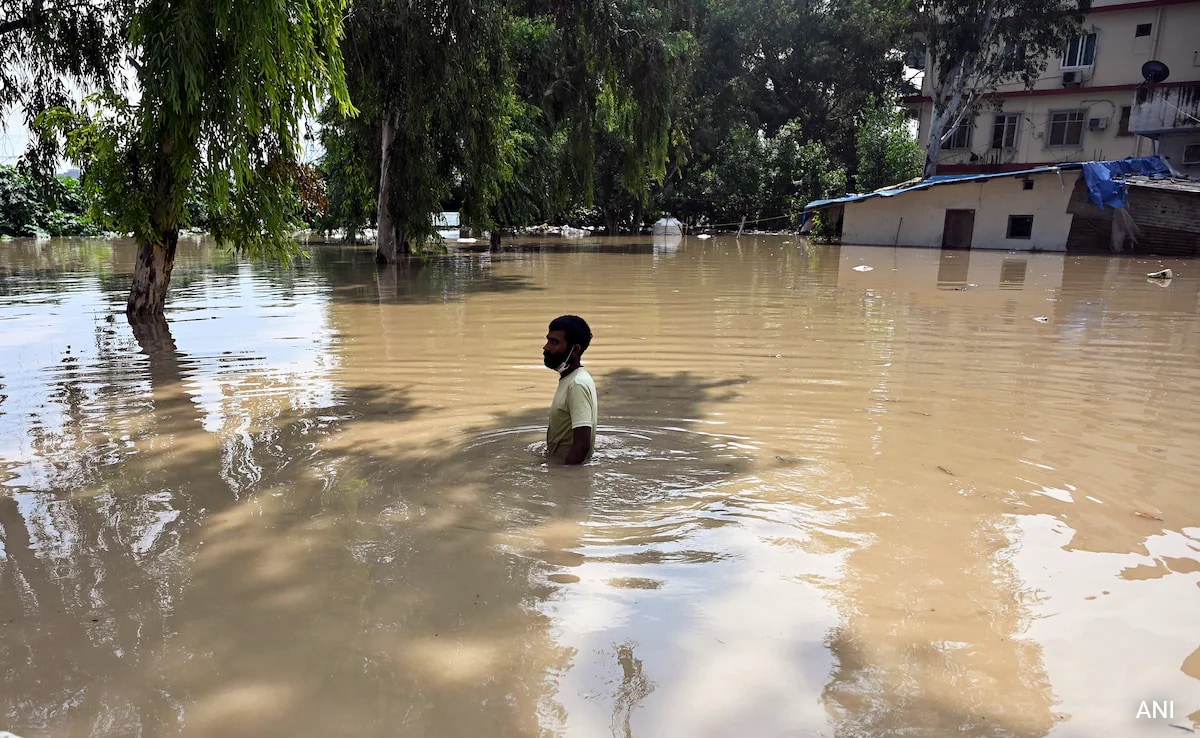 Relief Camps Flooded As Yamuna Swells Above Danger Mark, Heavy Rainfall Batters Delhi-NCR, Punjab